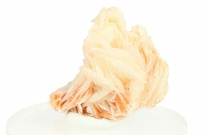 Pale Pink Bladed Barite Cluster - Morocco #292936